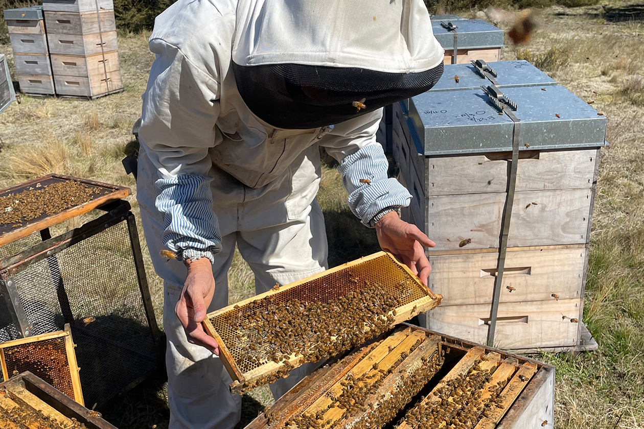 ミツバチを家族のように育てる
愛情あふれる養蜂家たち。